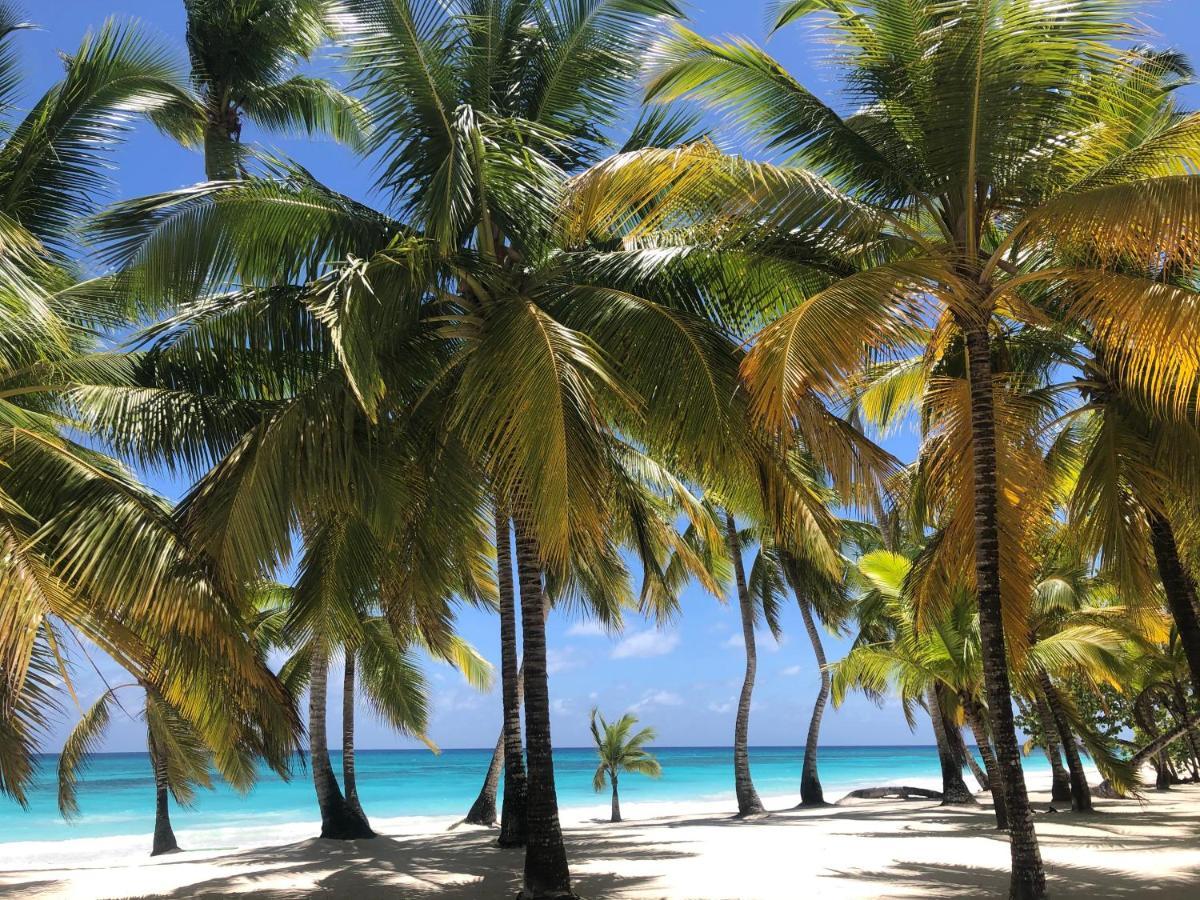Bayahibe Village Inn エクステリア 写真