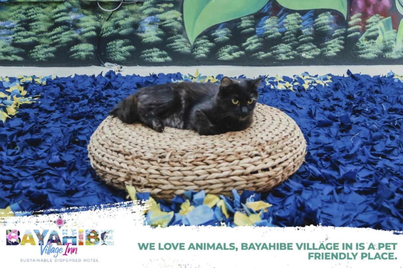 Bayahibe Village Inn エクステリア 写真